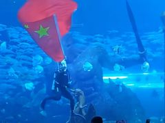 -哈尔滨波塞冬海底世界