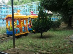 -广东茂名森林公园