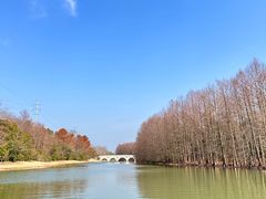 -上海海湾国家森林公园