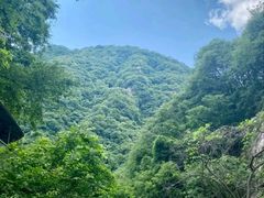 -西安祥峪森林公园