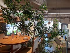 -KimPro 辛普乐概念韩餐