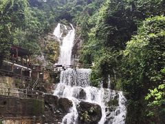 -鼎湖山风景区