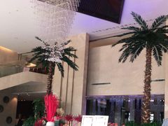 -常州环球恐龙城维景国际大酒店