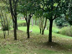 -中国浦东干部学院