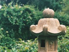 -龙华寺