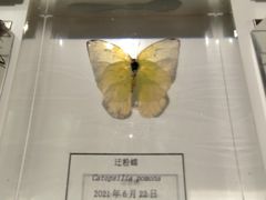 -中国湿地博物馆