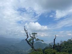 -青城山