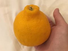 -西归浦每天偶来市场
