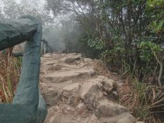 -梧桐山风景名胜区