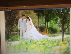 -保定金沙芝柏婚礼策划