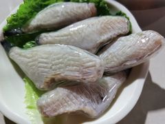 耗儿鱼-枇杷园食为鲜火锅(南山店)