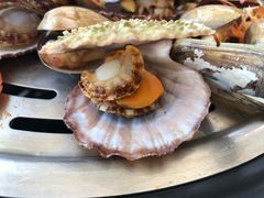 -港畔赶海蒸汽海鲜烧烤自助(仙螺岛店)