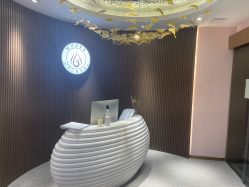 -MUSES专业脱毛比基尼サロン日式连锁