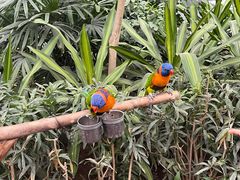 -南宫五洲植物乐园