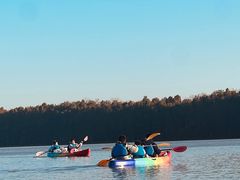 -上海海湾国家森林公园
