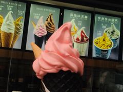 -麦丽丝红油辣椒冰淇淋(江家巷店)