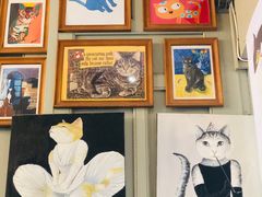 -猫咪博物馆(顶澳仔猫街店)