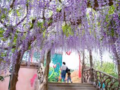 -苏州乐园森林水世界