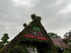 -丹樱生态园