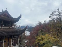 -九华山聚龙大酒店