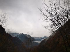 -秦岭风景区