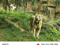 -杭州野生动物世界