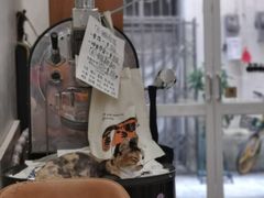 -玫瑰咖啡(中山六路店)