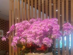 -若蘭慈·无国界素食料理(欢乐海岸店)