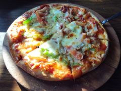 -百好乐宠物友好餐厅(朝外大街店)