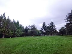 -花溪公园