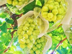 -镇江润扬大桥酒店