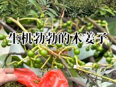 -大罗山风景区
