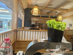 -九田家黑牛烤肉料理(石路天虹店)