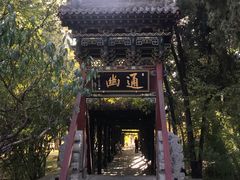 -晋祠公园