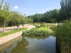 -大望京儿童游乐场