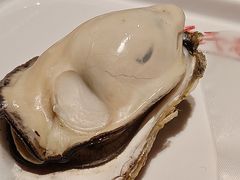 -杨氏青龙虾·羊蝎子(金盛路总店)