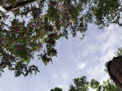 -燕郊植物园