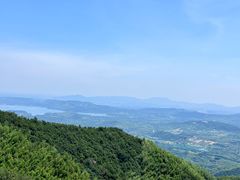 -紫藤园·天目湖大鱼头(南山竹海店)