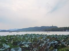 -湖畔居茶楼(湖滨店)