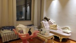 -东方幸福国际母婴月子会所(沙湾公园店)