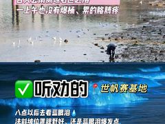 -日照海滨国家森林公园