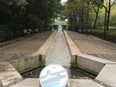 -苏州河梦清园环保主题公园