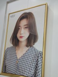 -镁连社·美联社