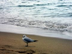 -海云台海滩