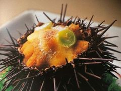 -海胆公主南澳岛美食海鲜