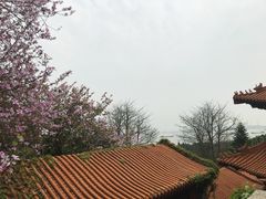 -南沙天后宫景区