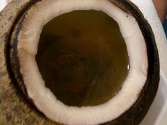 -金苑海鲜酒家(新港中路店)