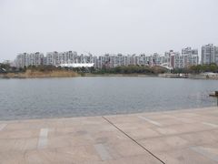 -新江湾城公园