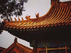 -故宫博物院(故宫)