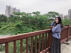 -金鸡岭桥头公园